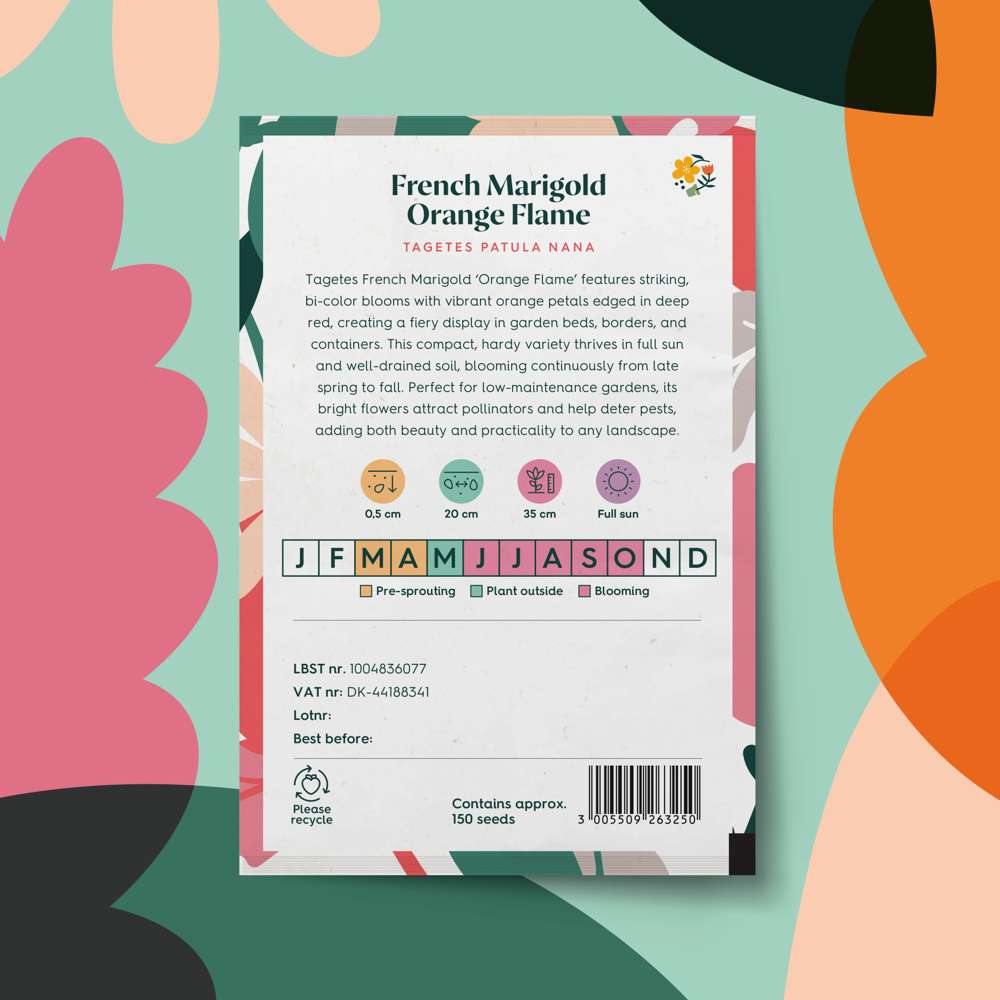 Tagetes 'French Marigold Orange Flame' (frø)